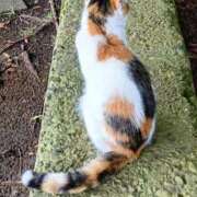 ヒメ日記 2025/12/08 14:11 投稿 はな エスッテ×エスッテ