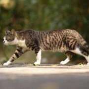 ヒメ日記 2025/12/08 20:33 投稿 はな エスッテ×エスッテ