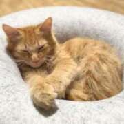 ヒメ日記 2025/12/16 11:04 投稿 はな エスッテ×エスッテ