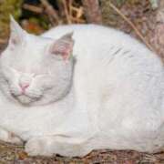 ヒメ日記 2026/01/05 11:02 投稿 はな エスッテ×エスッテ