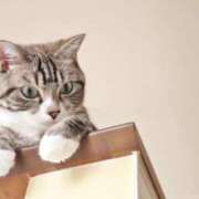 ヒメ日記 2026/01/05 20:00 投稿 はな エスッテ×エスッテ