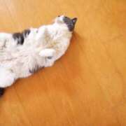 ヒメ日記 2026/01/11 10:58 投稿 はな エスッテ×エスッテ