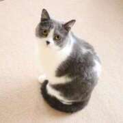 ヒメ日記 2026/01/11 22:51 投稿 はな エスッテ×エスッテ