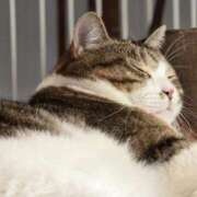 ヒメ日記 2026/01/14 11:20 投稿 はな エスッテ×エスッテ