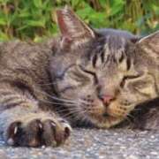 ヒメ日記 2026/01/14 19:45 投稿 はな エスッテ×エスッテ