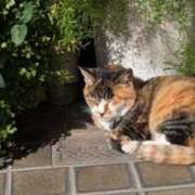 ヒメ日記 2026/01/18 11:19 投稿 はな エスッテ×エスッテ