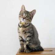 ヒメ日記 2026/01/24 11:29 投稿 はな エスッテ×エスッテ