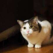 ヒメ日記 2026/01/24 20:45 投稿 はな エスッテ×エスッテ