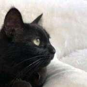 ヒメ日記 2026/01/29 10:57 投稿 はな エスッテ×エスッテ