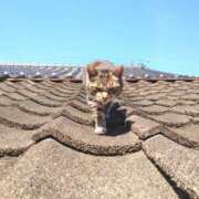 ヒメ日記 2026/02/03 20:45 投稿 はな エスッテ×エスッテ