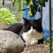 ヒメ日記 2026/02/12 11:28 投稿 はな エスッテ×エスッテ