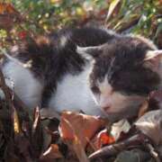 はな 今日12時から💘 エスッテ×エスッテ