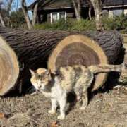 はな 受付終了❣️ エスッテ×エスッテ