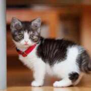 ヒメ日記 2026/02/17 10:56 投稿 はな エスッテ×エスッテ