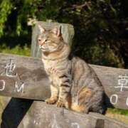 ヒメ日記 2026/03/04 10:49 投稿 はな エスッテ×エスッテ