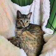 ヒメ日記 2026/03/07 11:01 投稿 はな エスッテ×エスッテ