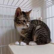 ヒメ日記 2026/03/19 11:05 投稿 はな エスッテ×エスッテ