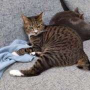 ヒメ日記 2026/03/25 11:36 投稿 はな エスッテ×エスッテ