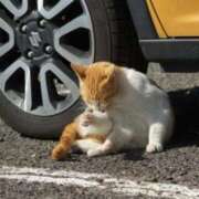 ヒメ日記 2026/04/05 11:03 投稿 はな エスッテ×エスッテ