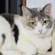 ヒメ日記 2026/04/08 11:35 投稿 はな エスッテ×エスッテ