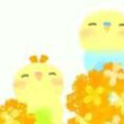 ヒメ日記 2025/12/09 17:29 投稿 かな 船橋桃色の妻たち