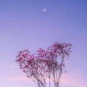 ヒメ日記 2025/12/10 17:00 投稿 いおり ロイヤル土佐