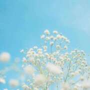 ヒメ日記 2025/12/12 07:00 投稿 いおり ロイヤル土佐