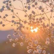 ヒメ日記 2025/12/12 17:00 投稿 いおり ロイヤル土佐