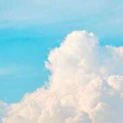 ヒメ日記 2025/12/13 07:00 投稿 いおり ロイヤル土佐