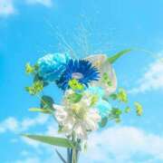 ヒメ日記 2025/12/16 10:00 投稿 いおり ロイヤル土佐