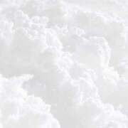 いおり 🪽⟡⁺. ロイヤル土佐