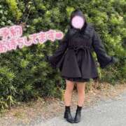 奥菜めい 今日の処女奪ってください 五十路マダムエクスプレス豊橋店（カサブランカグループ）