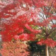 ヒメ日記 2025/12/02 15:12 投稿 伊東　ゆり NADIA京都店