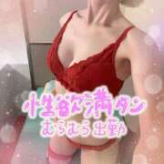 ヒメ日記 2026/02/23 12:02 投稿 中谷紗希 セレブショップ新宿（東京ハレ系）