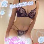 ヒメ日記 2026/04/11 08:01 投稿 中谷紗希 セレブショップ新宿（東京ハレ系）