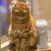 ヒメ日記 2025/12/09 05:09 投稿 叶 蘭 ELEGANCE