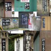 ヒメ日記 2026/01/28 12:30 投稿 叶 蘭 ELEGANCE