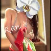 ヒメ日記 2026/02/05 21:19 投稿 叶 蘭 ELEGANCE