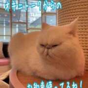 ヒメ日記 2026/04/18 17:29 投稿 叶 蘭 ELEGANCE