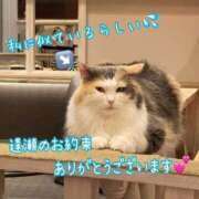 ヒメ日記 2026/05/06 15:39 投稿 叶 蘭 ELEGANCE