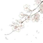 ヒメ日記 2026/04/02 21:21 投稿 かれん【性感】 性感エステBianca豊中店