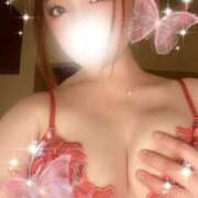 ヒメ日記 2025/11/25 21:08 投稿 まこ ジュエリー(谷九)