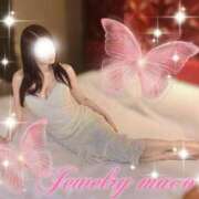 ヒメ日記 2026/03/30 11:59 投稿 まこ ジュエリー(谷九)