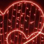 ヒメ日記 2025/12/20 13:50 投稿 広田ゆり 五十路マダム　和歌山店