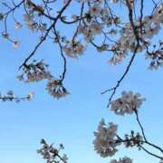 ヒメ日記 2026/04/06 18:39 投稿 ちひろ【密着中毒エロ100%】 STELLA TOKYO－ステラトウキョウ－