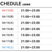 ヒメ日記 2026/04/12 21:03 投稿 ひかる 性春放課後スクワット五反田編