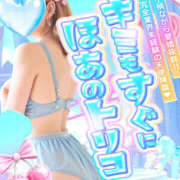 ヒメ日記 2026/02/15 11:10 投稿 ほあ プラチナ