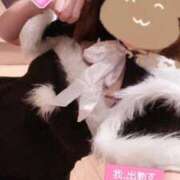 らぴす 12/21~確定‼️ 鶯谷デリヘル倶楽部