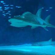 ヒメ日記 2026/02/16 20:32 投稿 らぴす 鶯谷デリヘル倶楽部