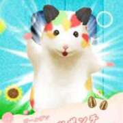 らぴす 間に合いませんでした！！ 鶯谷デリヘル倶楽部